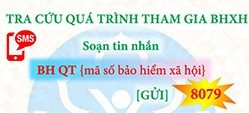 Tra cứu quá trình tham gia bảo hiểm xã hội